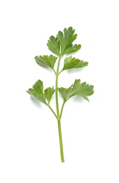 Fresh green organic parsley on white background