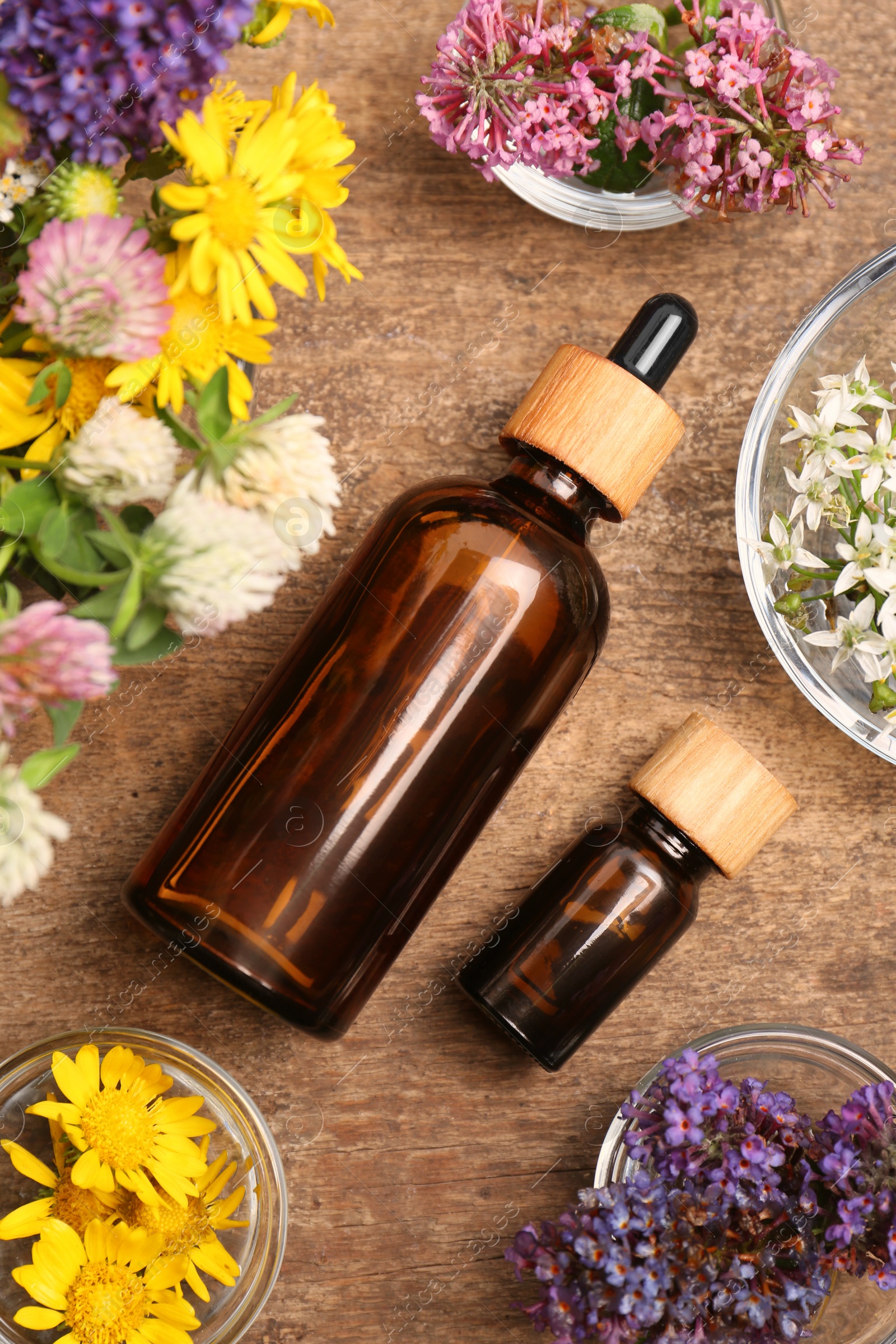 Photo of Bottles of essential oils surrounded by beautiful flowers on wooden table, flat lay