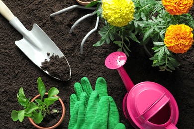 Flat lay composition with plants and professional gardening tools on soil