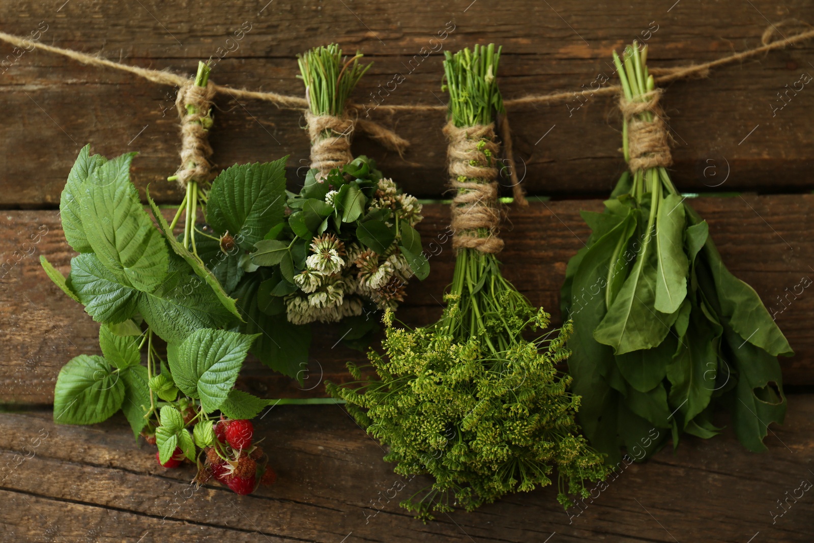 Photo of Bunches of different beautiful dried flowers hanging on rope near wooden wall