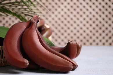 Photo of Tasty red baby bananas on grey table. Space for text