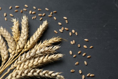 Photo of Ears of wheat and grains on black table, closeup