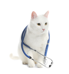 Photo of Cute cat with stethoscope as veterinarian on white background