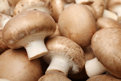 Fresh raw champignon mushrooms as background, closeup