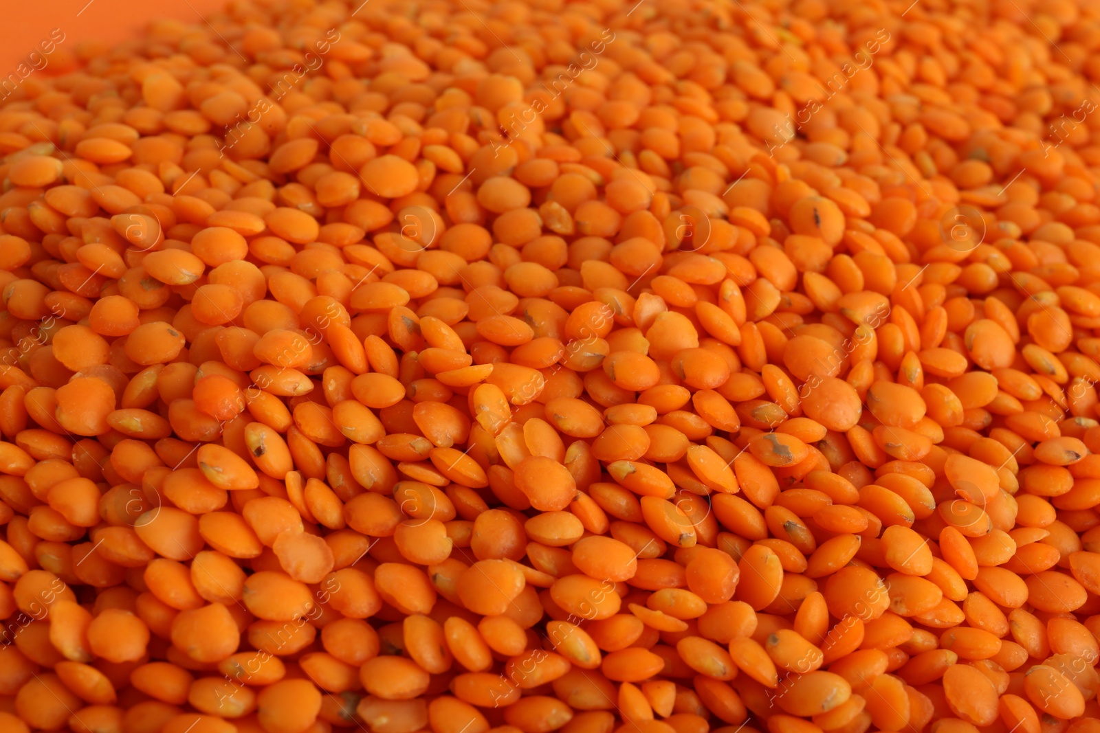 Photo of Organic red lentils as background, closeup view