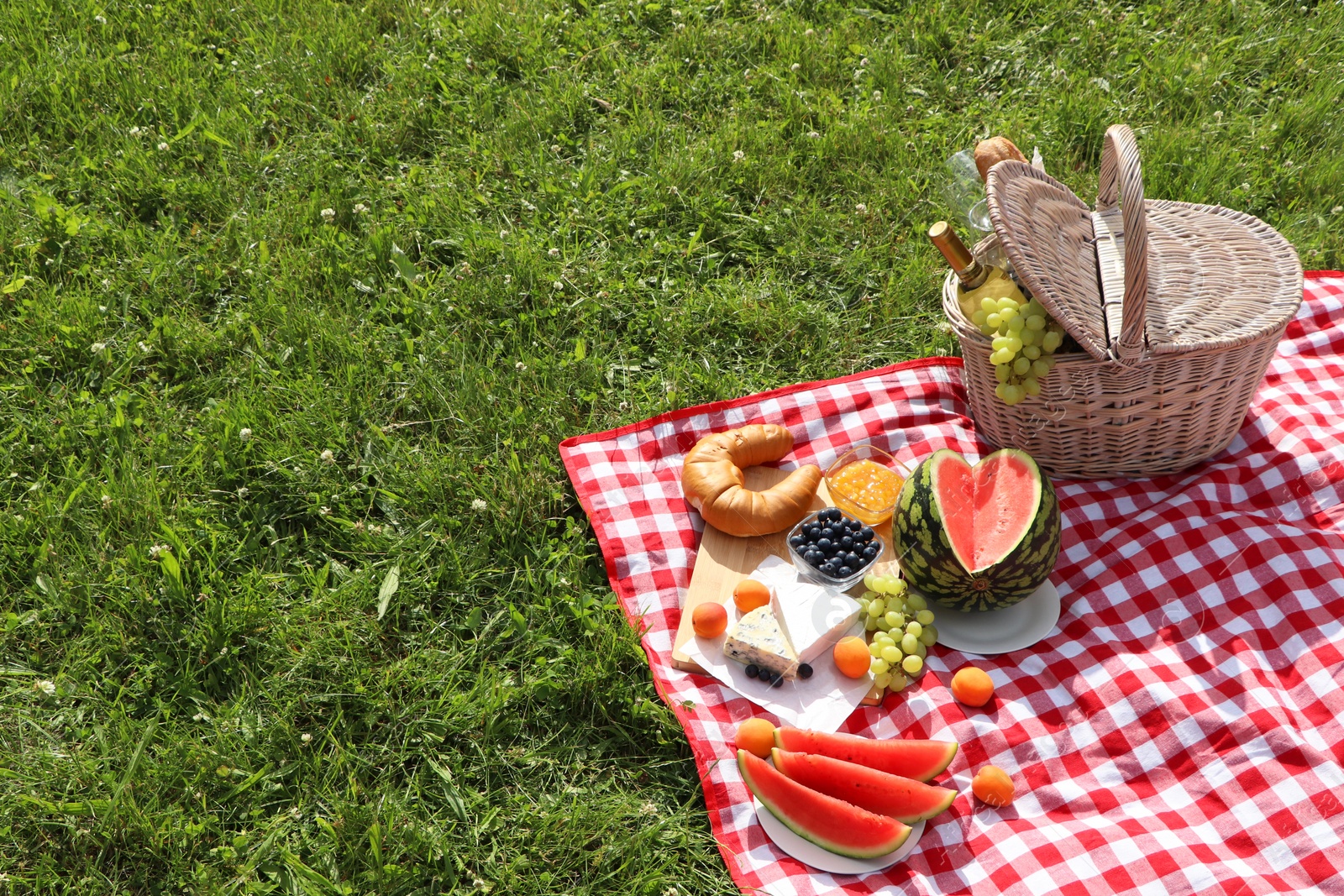 Photo of Picnic blanket with delicious food and wine outdoors on summer day, space for text