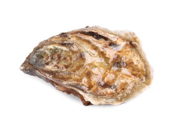 Photo of Fresh raw closed oyster isolated on white