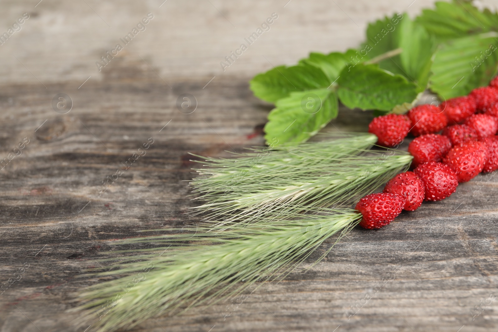 Photo of Grass stems with wild strawberries and leaves on wooden table, closeup. Space for text
