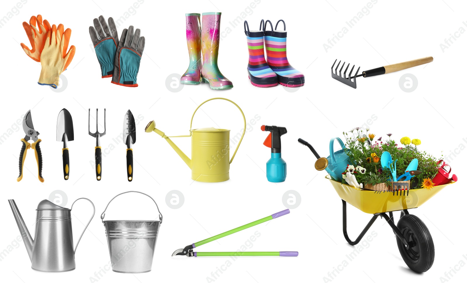 Image of Set with different gardening tools on white background