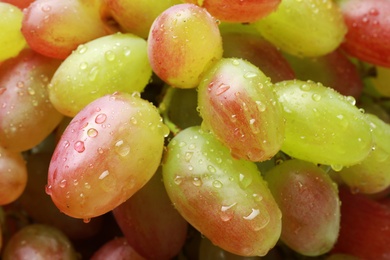 Fresh ripe juicy grapes with water drops as background, closeup