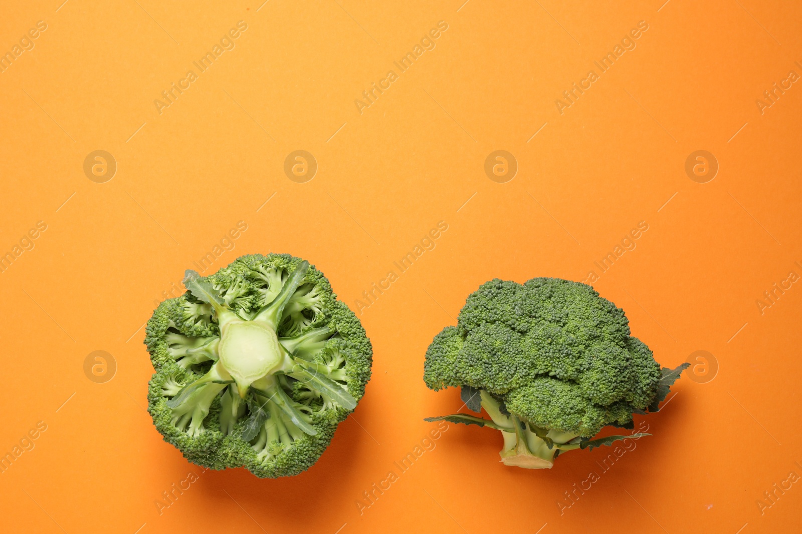 Photo of Fresh tasty broccoli on orange background, flat lay. Space for text