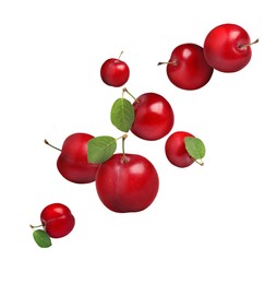 Image of Many fresh cherry plums falling on white background