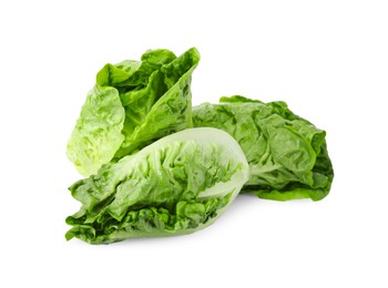 Photo of Fresh green romaine lettuces isolated on white