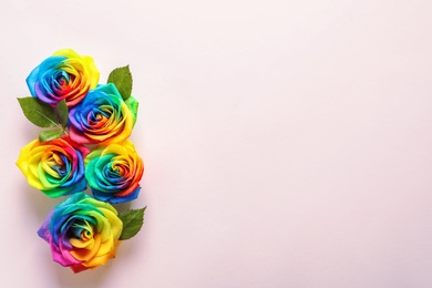 Photo of Rainbow rose flowers on color background, top view