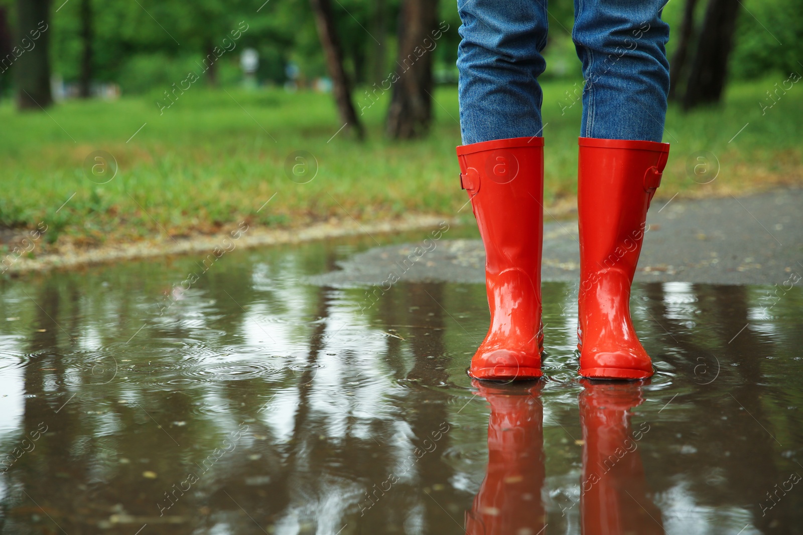 Photo of Woman with rubber boots in puddle, closeup. Rainy weather