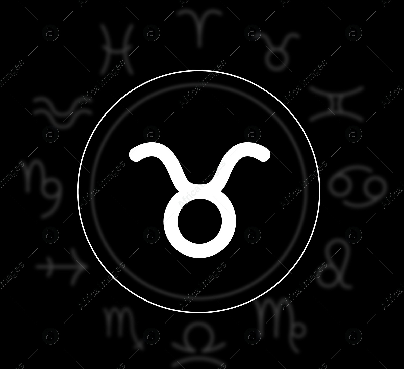 Illustration of Taurus astrological sign and zodiac wheel on black background. Illustration 