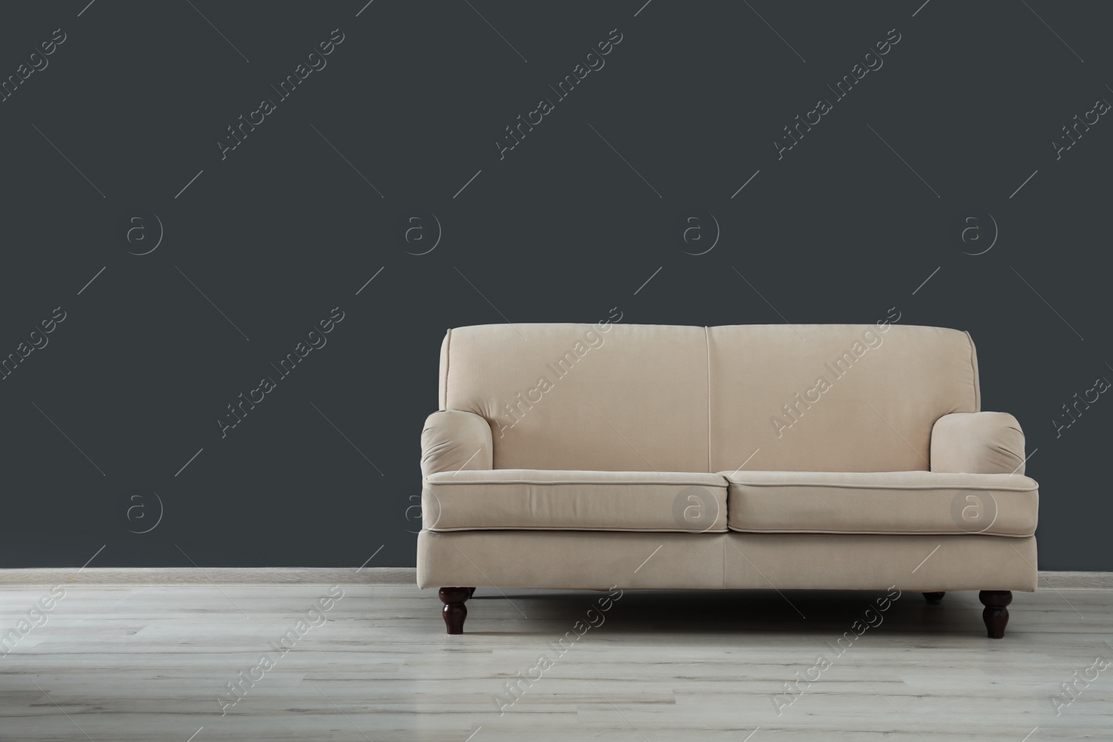 Photo of Room interior with comfortable sofa near gray wall. Space for text