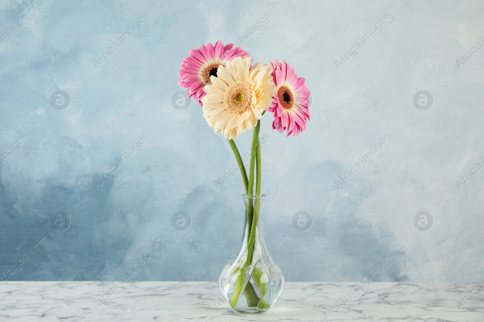 Photo of Bouquet of beautiful bright gerbera flowers in glass vase on marble table against color background