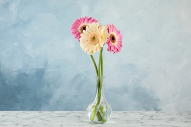 Bouquet of beautiful bright gerbera flowers in glass vase on marble table against color background