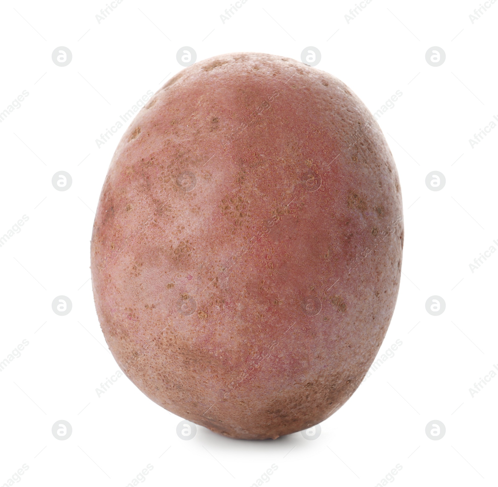 Photo of Fresh ripe organic potato on white background