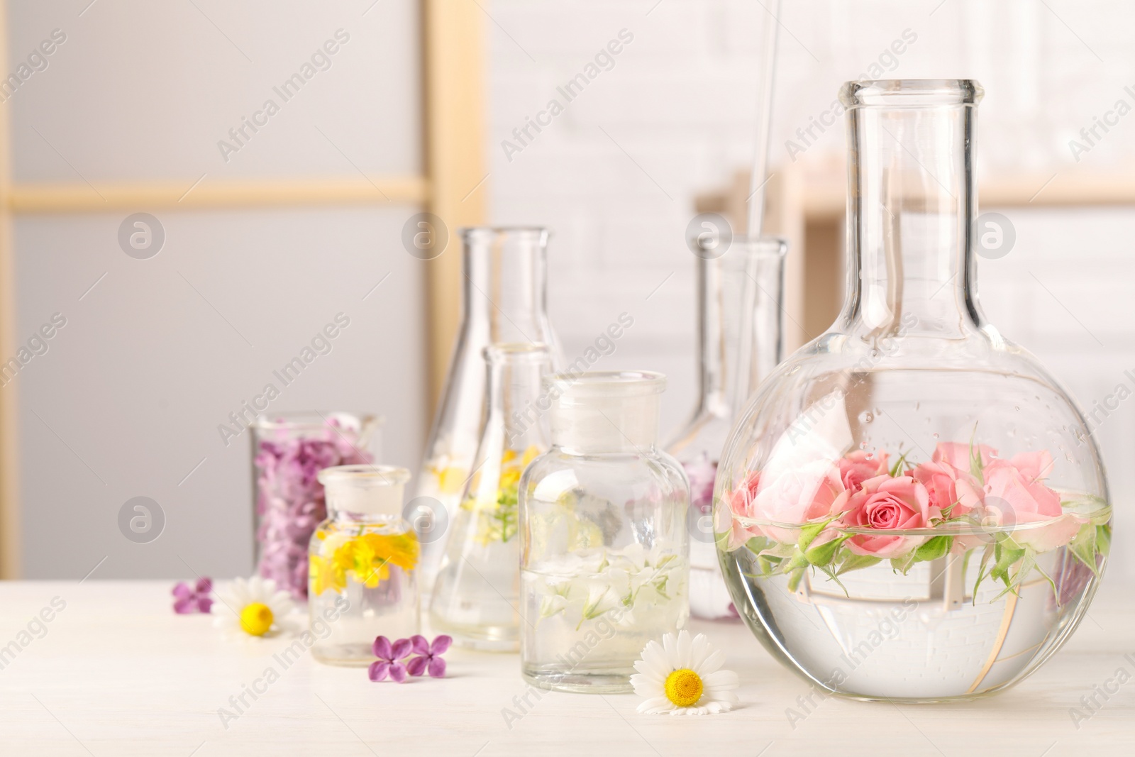 Photo of Laboratory glassware with flowers on white wooden table. Extracting essential oil for perfumery and cosmetics