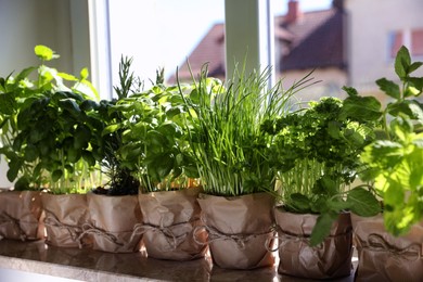 Photo of Different aromatic potted herbs on windowsill indoors