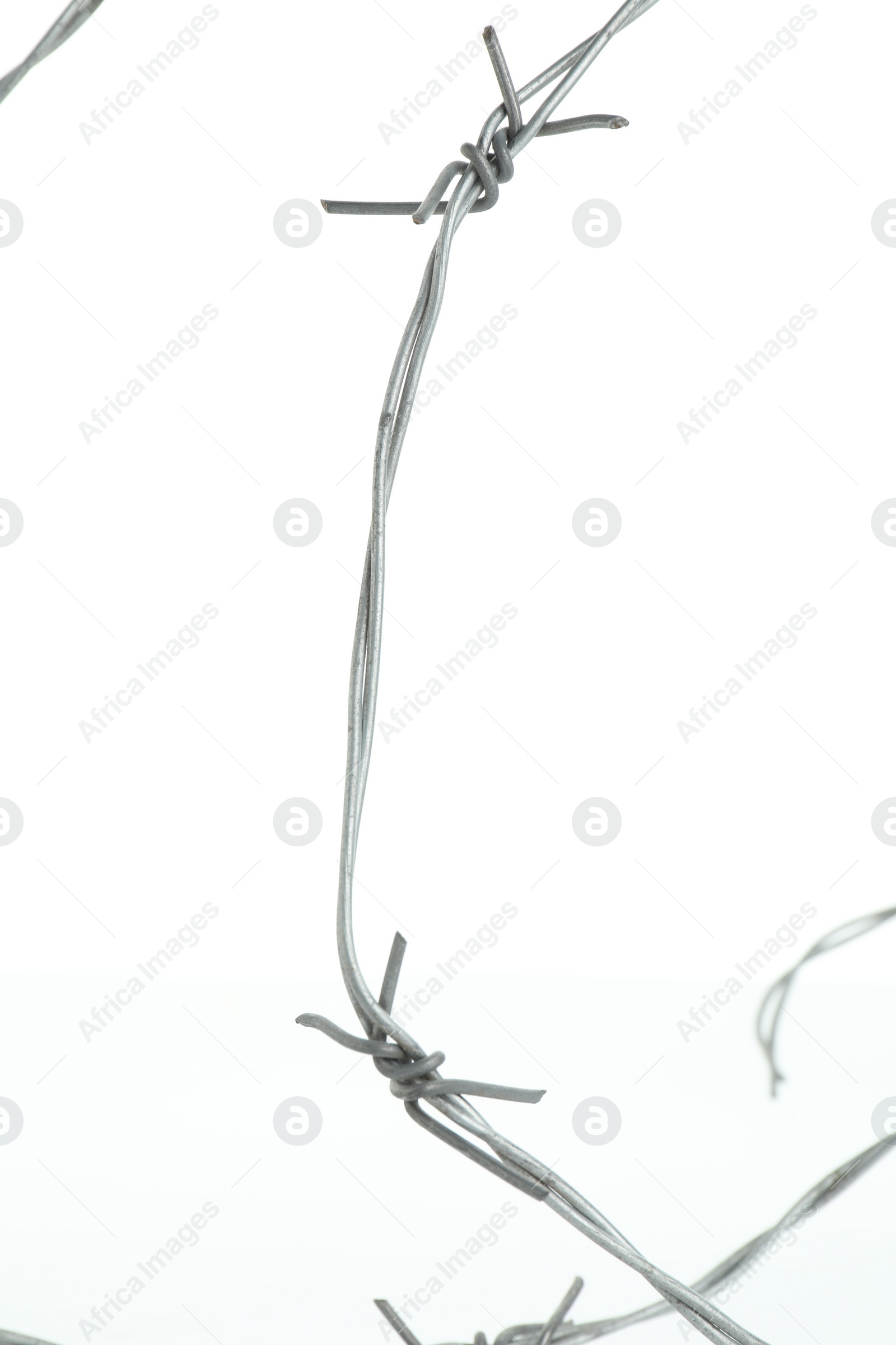 Photo of Shiny metal barbed wire isolated on white