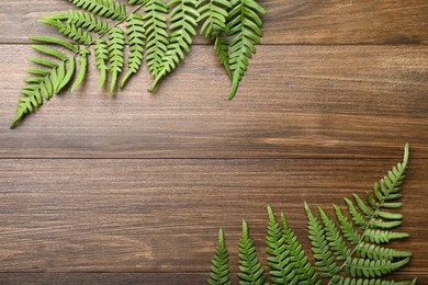 Photo of Beautiful tropical fern leaves on wooden background, flat lay. Space for text