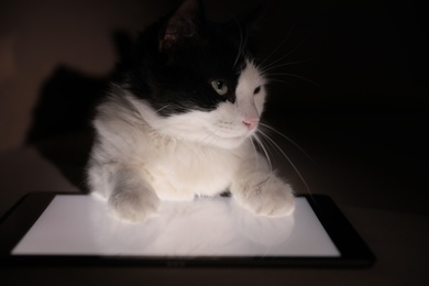 Photo of Cute cat lying on tablet at home, closeup
