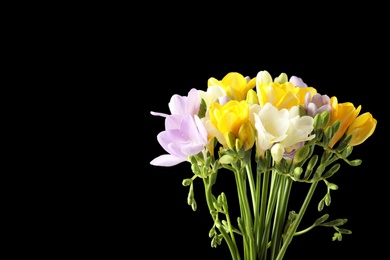 Photo of Bouquet of freesia flowers on black background. Space for text