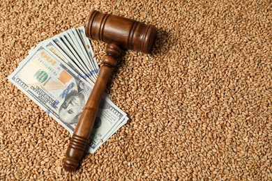 Agricultural business. Dollar banknotes and wooden gavel on wheat grains, top view. Space for text