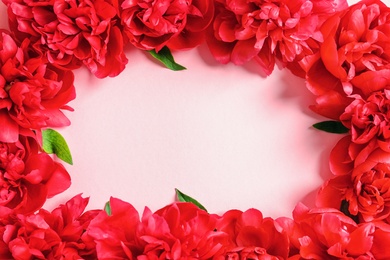 Photo of Flat lay composition with beautiful blooming peonies on color background