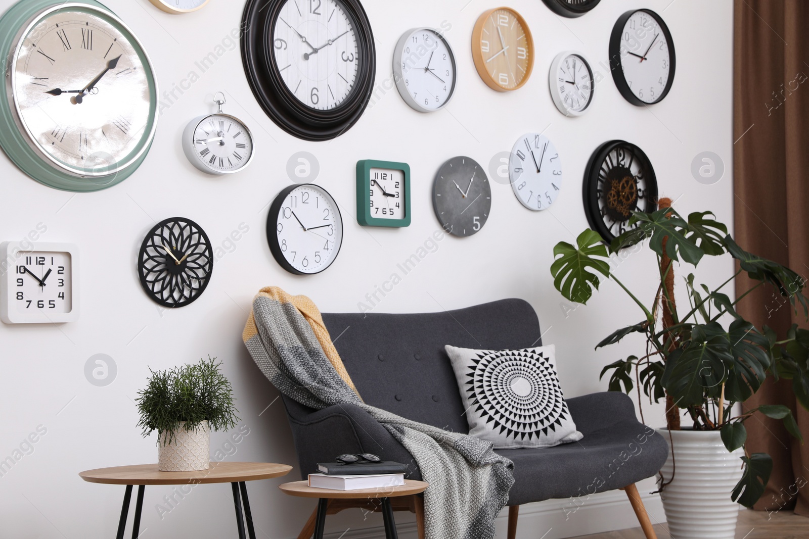 Photo of Stylish room interior with comfortable furniture, beautiful houseplant and collection of different clocks on white wall