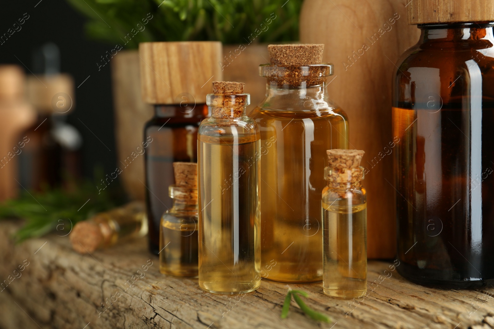 Photo of Essential oils in bottles, rosemary on wooden surface, closeup