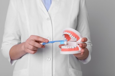 Photo of Dentist with jaws model and toothbrush on light grey background, closeup. Oral care demonstration