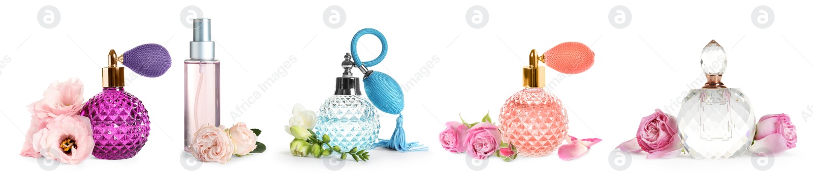 Image of Set with different bottles of perfume and flowers on white background. Banner design