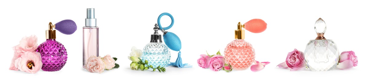 Set with different bottles of perfume and flowers on white background. Banner design