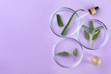 Photo of Flat lay composition with Petri dishes and plants on violet background. Space for text