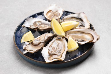 Photo of Delicious fresh oysters with lemon slices on light grey table