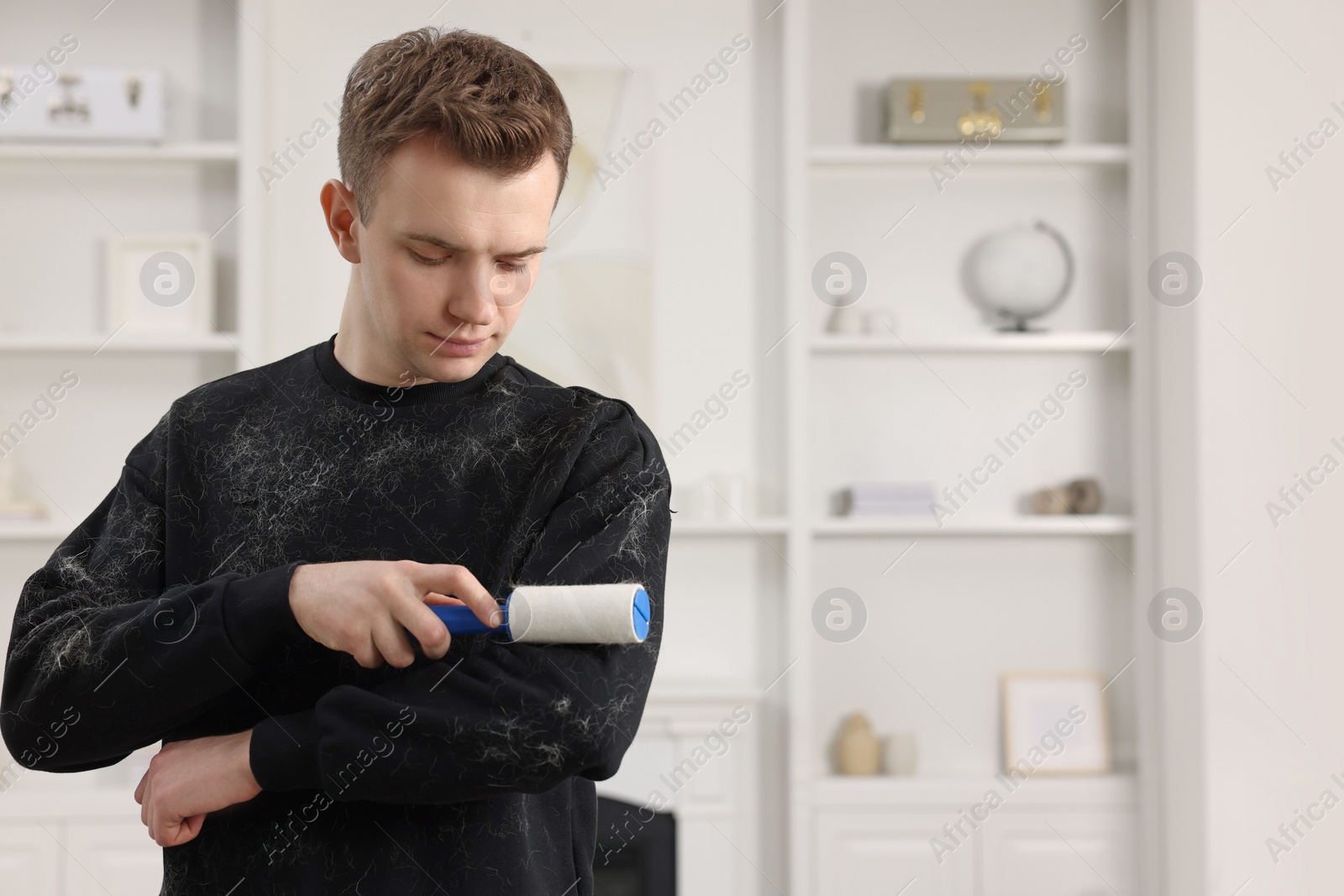 Photo of Pet shedding. Man with lint roller removing dog's hair from sweater at home. Space for text