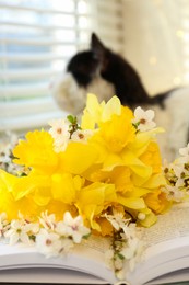 Beautiful bouquet of yellow daffodils, book and fluffy cat near window, closeup