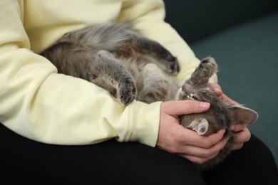 Photo of Cute pet. Woman holding adorable cat with fluffy hair on sofa at home, closeup