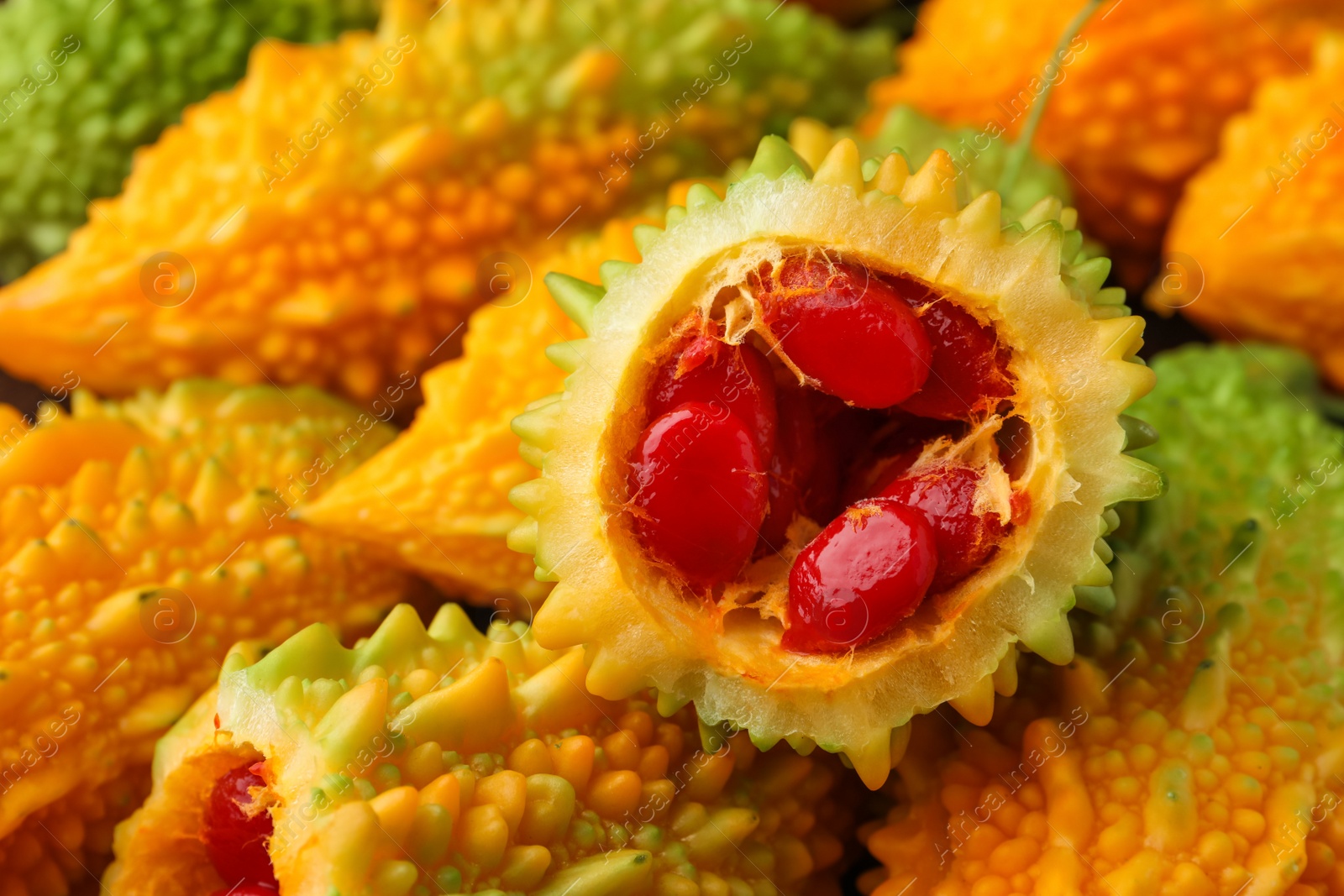 Photo of Tasty fresh bitter melons as background, closeup