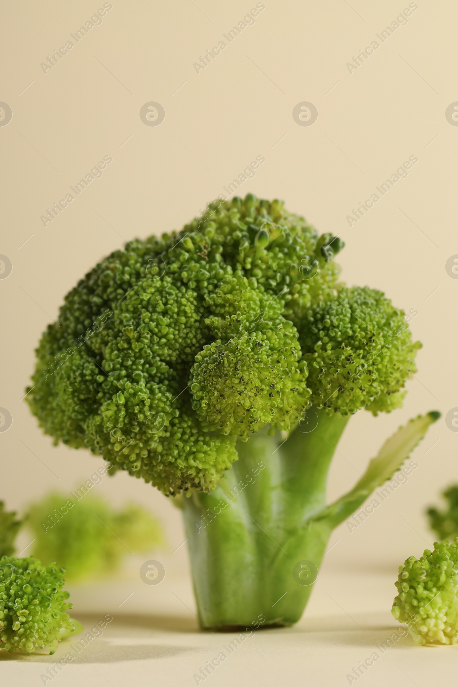 Photo of Fresh raw broccoli on beige background, closeup