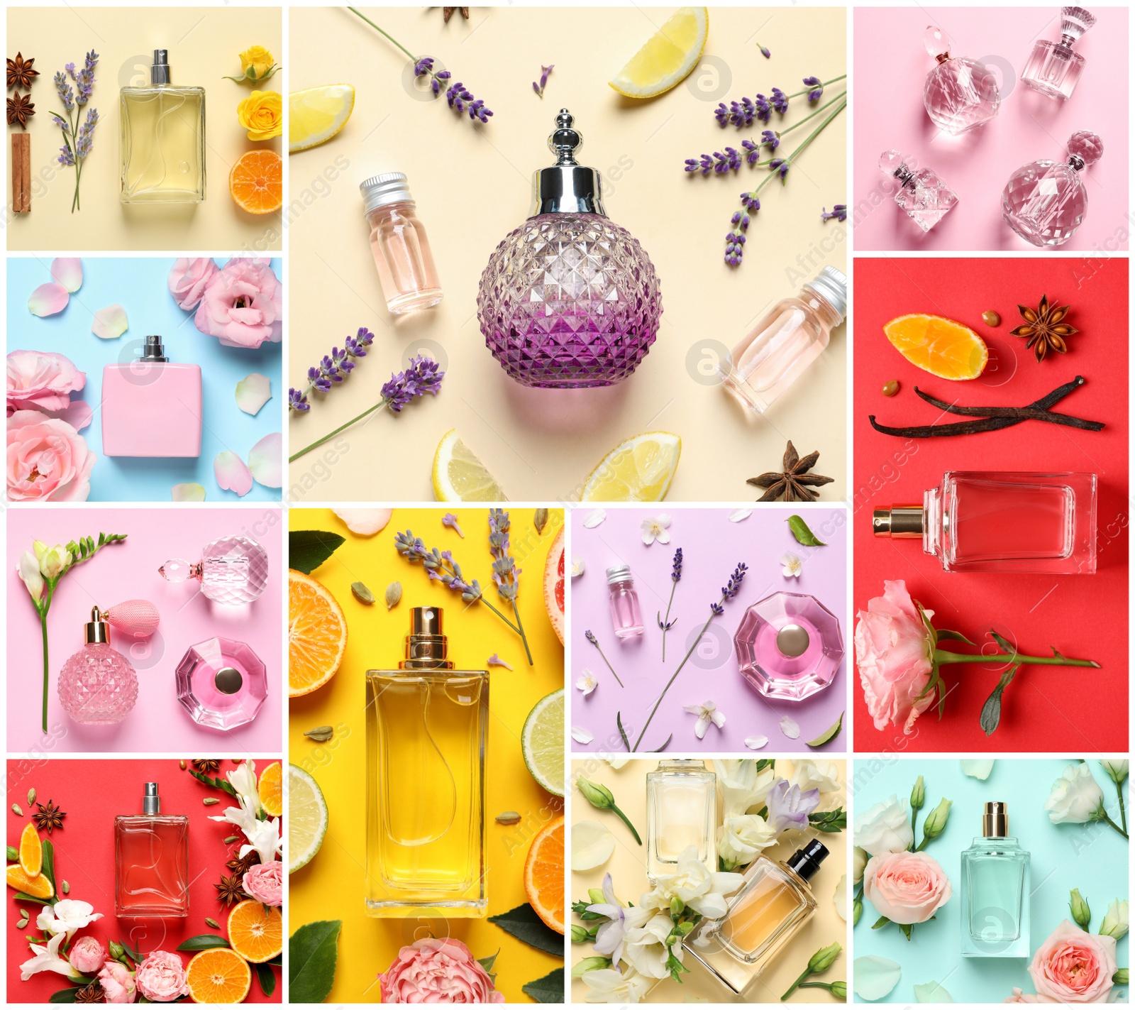 Image of Beautiful collage with photos of luxury perfume and ingredients represent their fragrance notes on different color backgrounds, top view