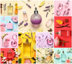 Image of Beautiful collage with photos of luxury perfume and ingredients represent their fragrance notes on different color backgrounds, top view