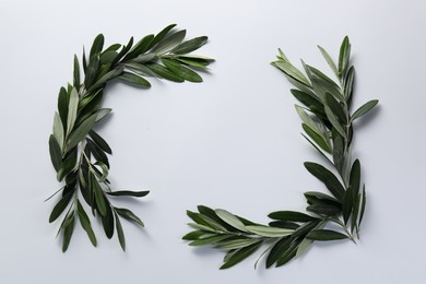 Frame made of fresh green olive leaves on white background, flat lay. Space for text