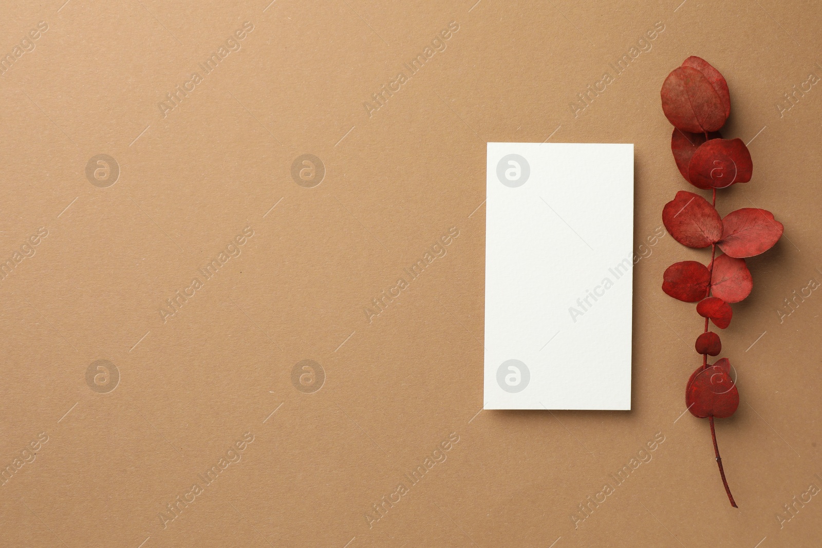 Photo of Blank business card and red eucalyptus branch on beige background, flat lay. Mockup for design