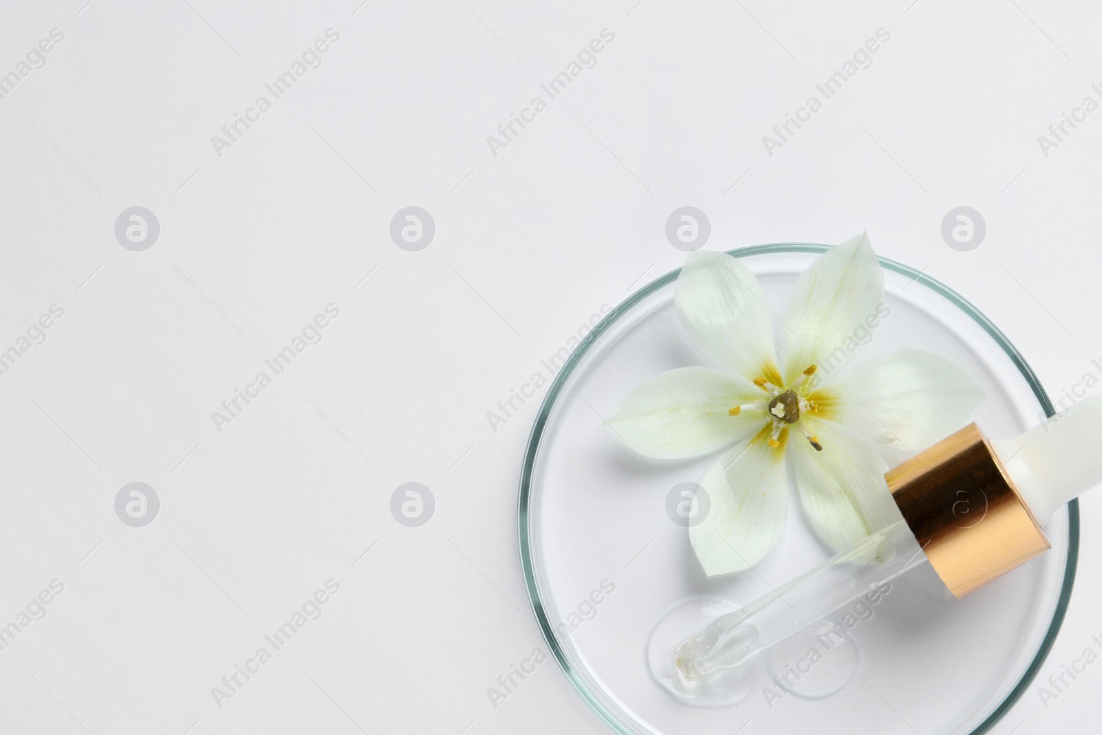 Photo of Petri dish with sample of cosmetic oil, pipette and beautiful flower on white background, top view. Space for text