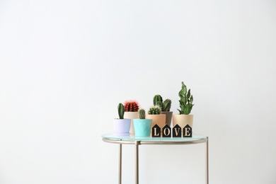 Beautiful cacti on table against light background